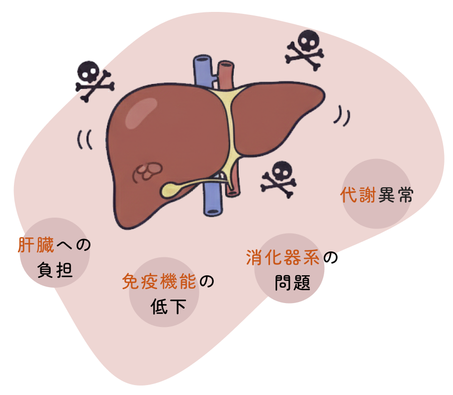 肝臓への負担・免疫機能の低下・消化器系の問題・代謝異常